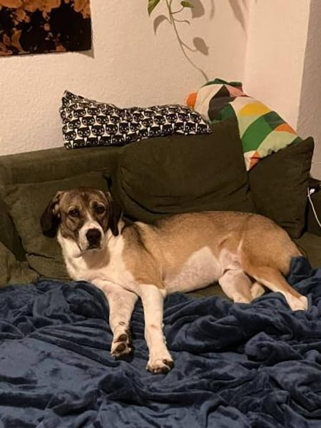 Dias aus 01097 Dresden