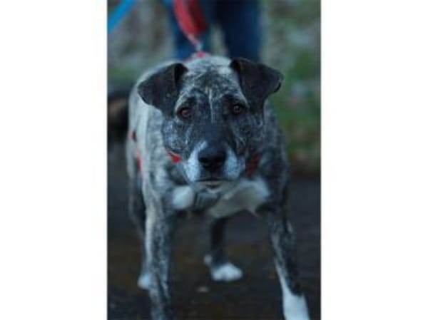 Pauline - wartet in 96369 Weißenbrunn