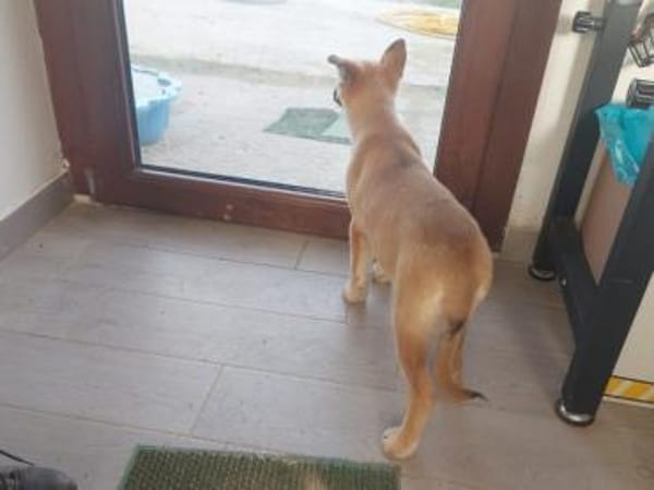 Malika sucht ihr Traumzuhause