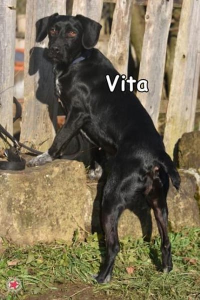 VITA