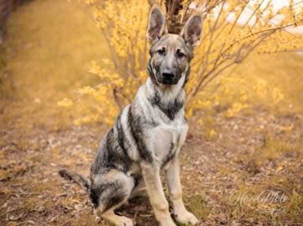 Darf Mal an Ihrem Leben teilhaben?