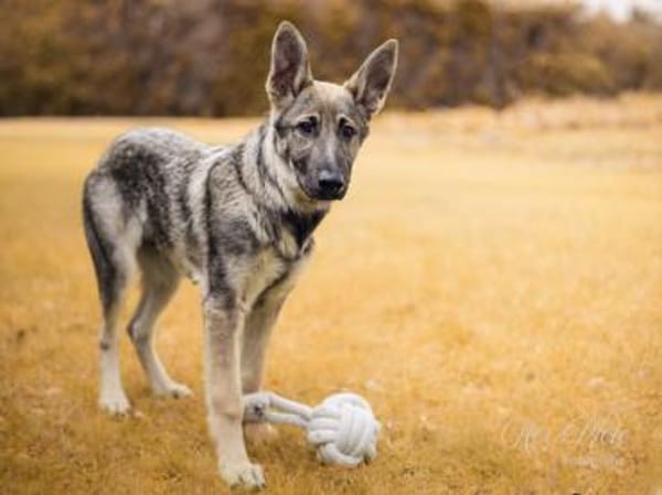 Darf Mal an Ihrem Leben teilhaben?