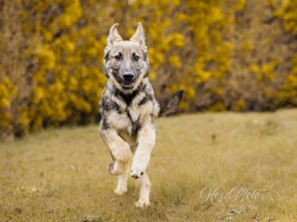 Darf Mal an Ihrem Leben teilhaben?