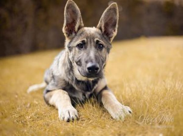 Darf Mal an Ihrem Leben teilhaben?