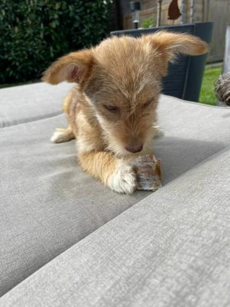 Ayla - wartet auf dich 🍀