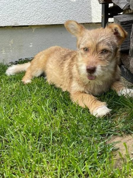 Ayla - wartet auf dich 🍀