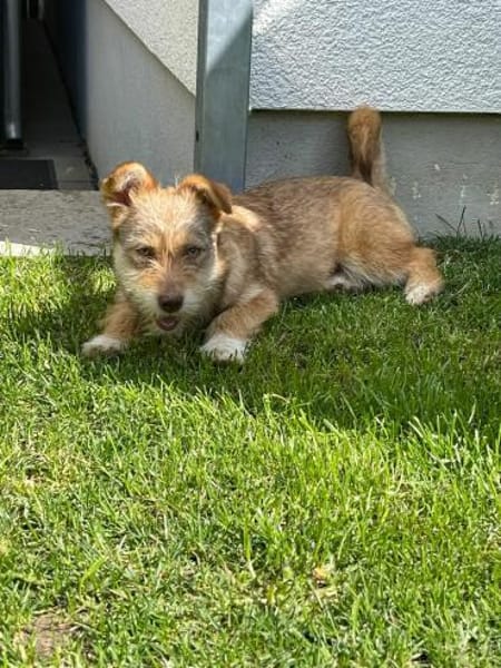 Ayla - wartet auf dich 🍀