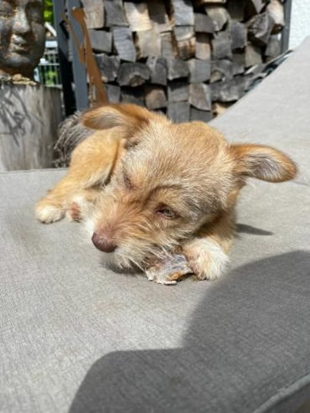 Ayla - wartet auf dich 🍀