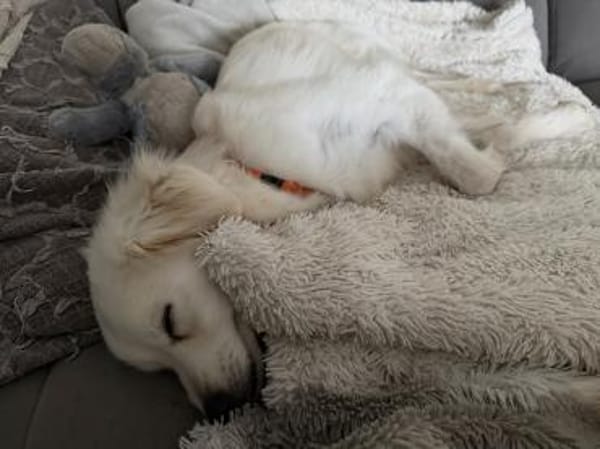 Unkompliziert und absolut süß💕