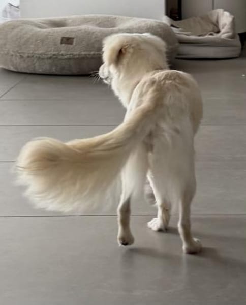 Unkompliziert und absolut süß💕