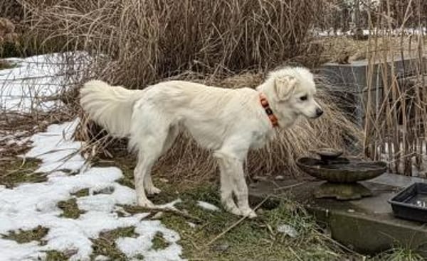 Unkompliziert und absolut süß💕