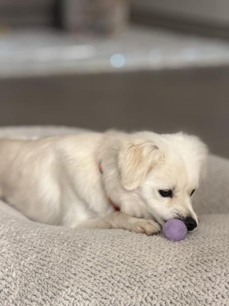 Unkompliziert und absolut süß💕