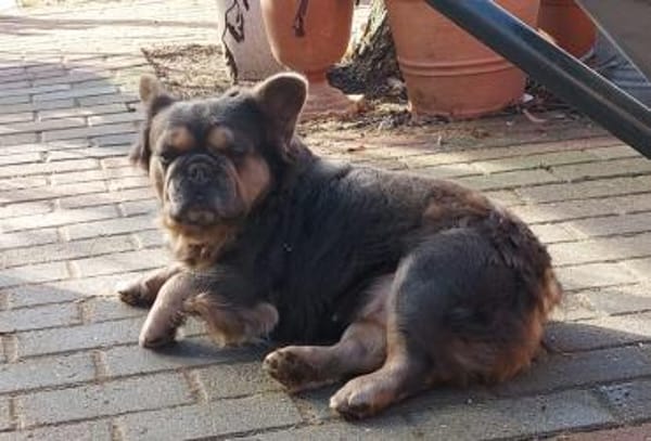 KLEO PP Sanftes Mädchen sucht Liebe