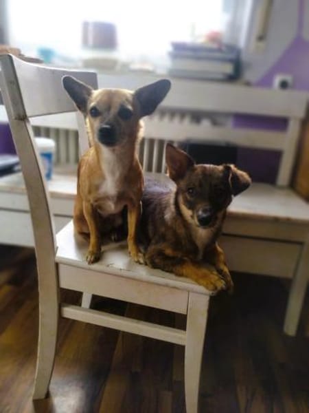 ❤Mia - klein, charmant & voller Freude