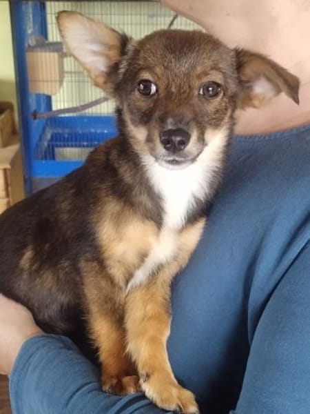 ❤Mia - klein, charmant & voller Freude