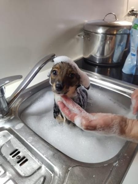 ❤Mia - klein, charmant & voller Freude