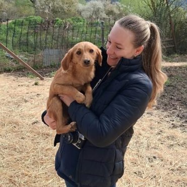 Kleine Gina braucht eine Familie