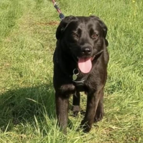 Nyra die allerliebste