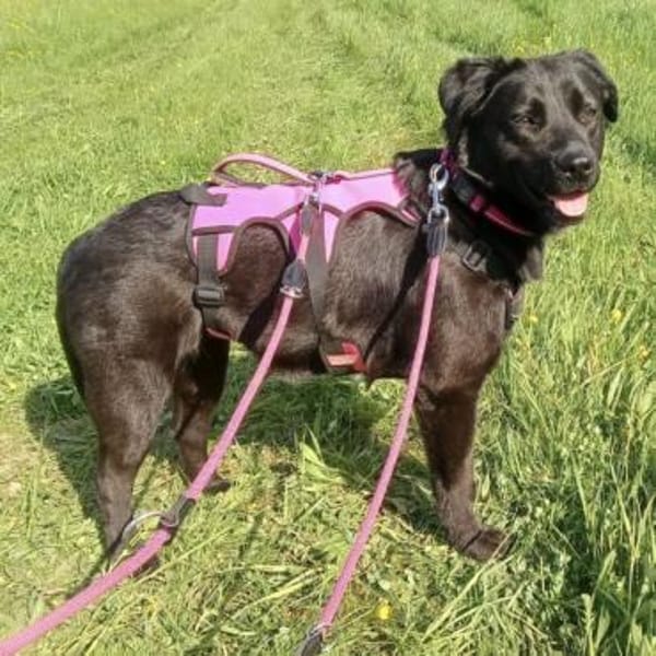 Nyra die allerliebste