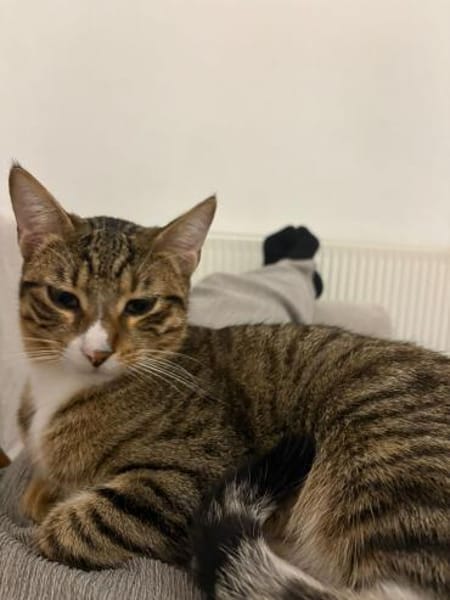 Max und Leo außen Tierschutz