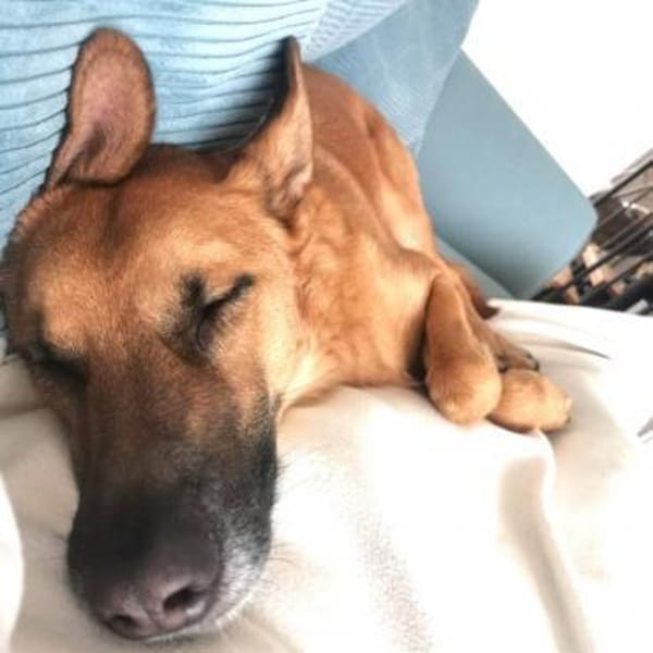 Pepe - NOTFALL braucht starke Menschen