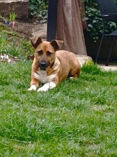 kleine süße Katinka auf PS in 91353