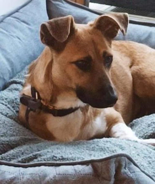 kleine süße Katinka auf PS in 91353