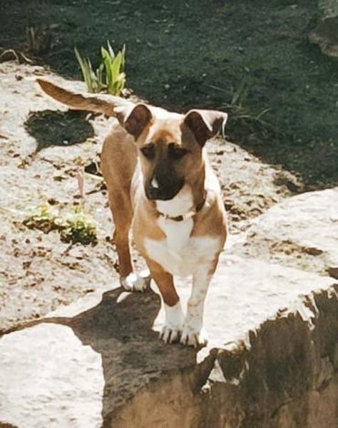 kleine süße Katinka auf PS in 91353