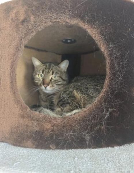 Ogi 6/23 m sucht Kuschel Platz