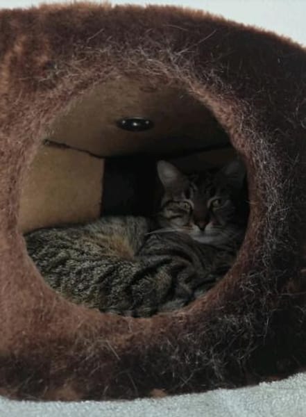 Ogi 6/23 m sucht Kuschel Platz