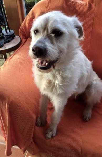 DIAMOND sucht sein Singlekörbchen