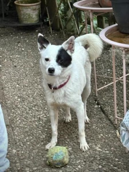 Unsere zarte Seele IDA...