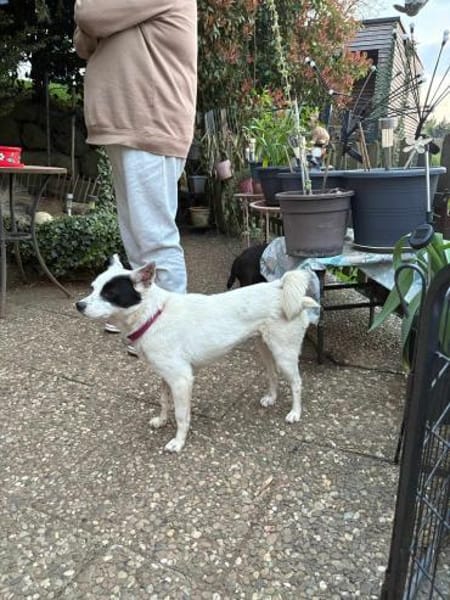 Unsere zarte Seele IDA...