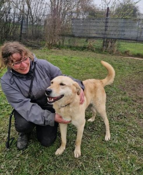 Josh Blond - treuer Kamerad