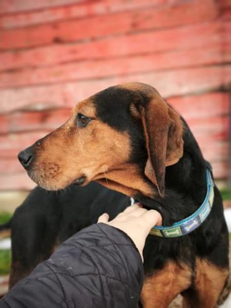 Brisa - Notfall -