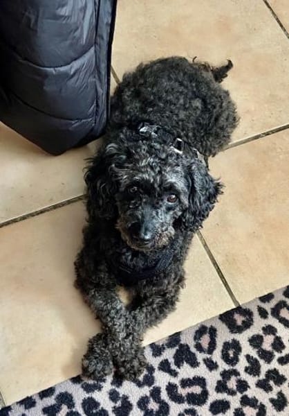 Pudka in 94363 Oberschneiding