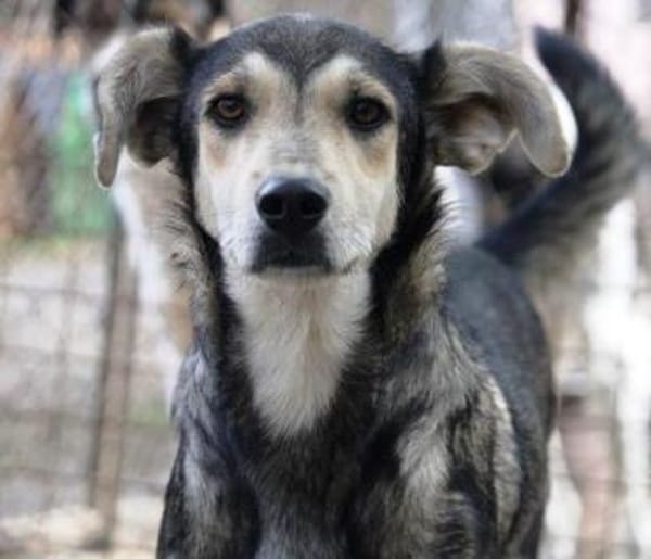 Der liebe Grisu verzauberte uns sofort!