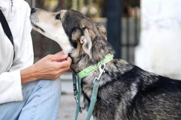 Der liebe Grisu verzauberte uns sofort!