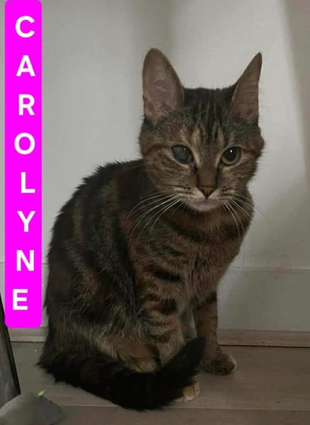 CAROLYNE ET POLYDORE