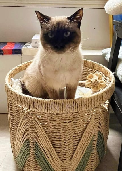 CAROLYNE ET POLYDORE