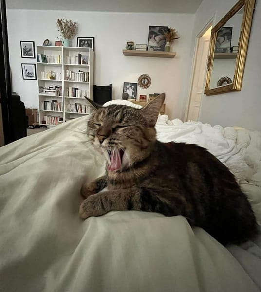 CAROLYNE ET POLYDORE