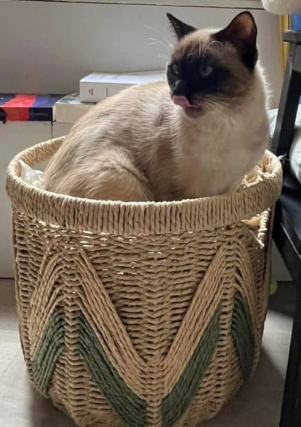 CAROLYNE ET POLYDORE