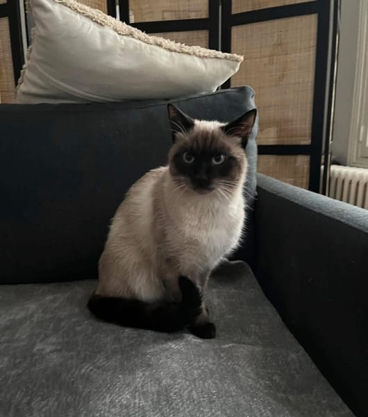 CAROLYNE ET POLYDORE