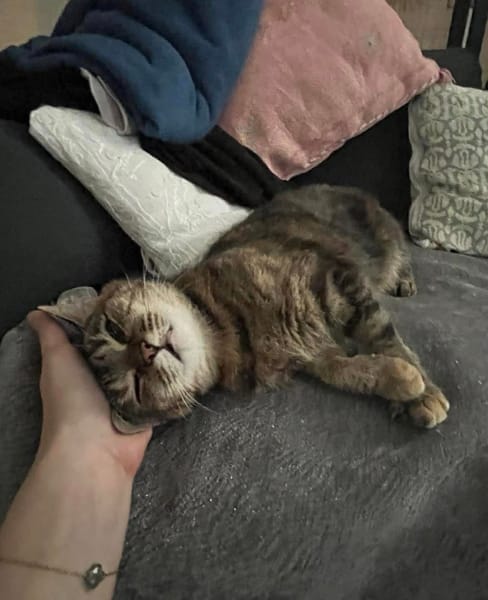 CAROLYNE ET POLYDORE