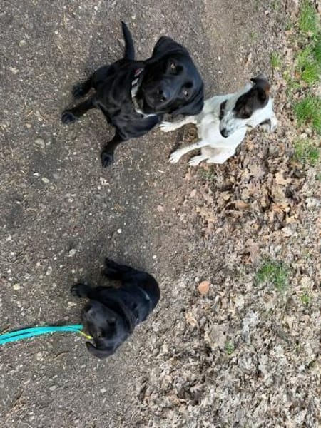 Papy sucht sein Zuhause