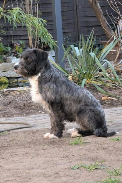 Alani 💗 wartet in 90530 Wendelstein