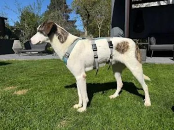 ALDO - so ein süßer Knirps