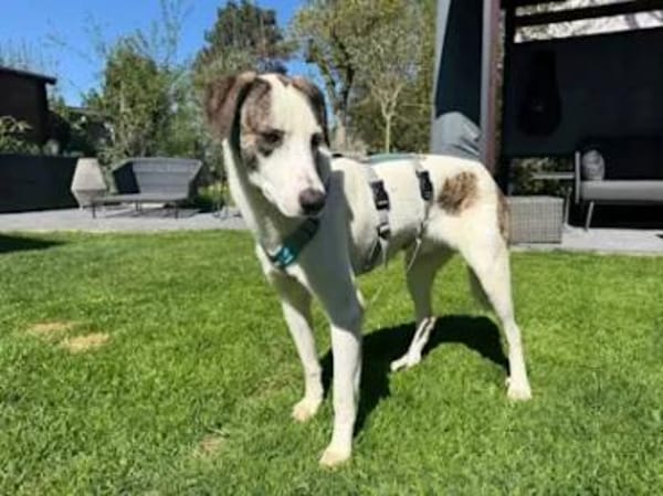 ALDO - so ein süßer Knirps