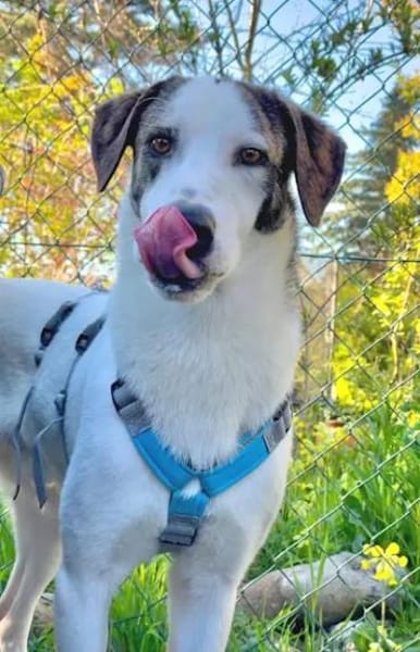 ALDO - so ein süßer Knirps