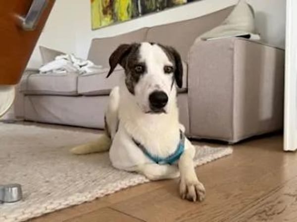 ALDO - so ein süßer Knirps